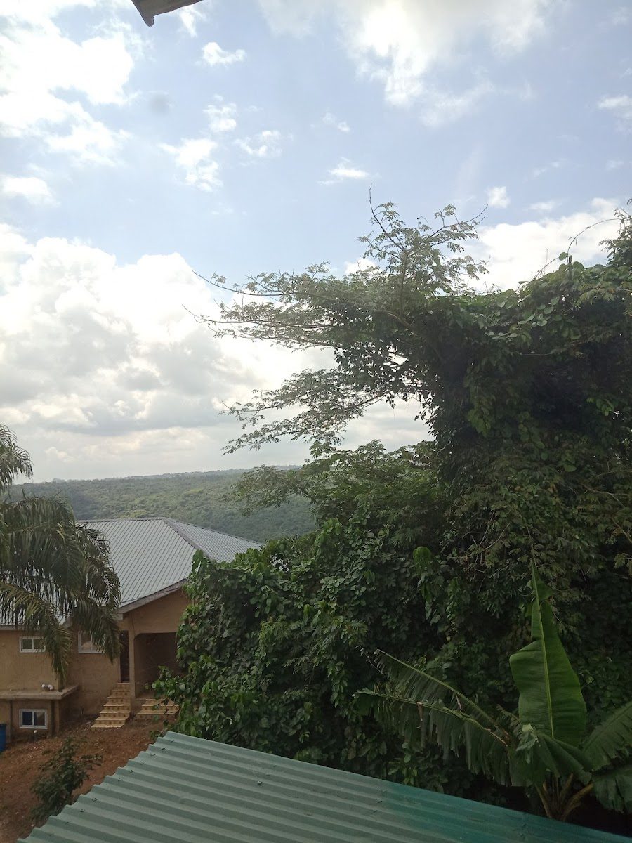 View over the green hills from Lasanto